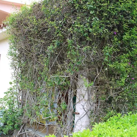 Bellissimo Angolare 500 M Dalla Cinta 2 Stanze Matrimoniali E 2 Bagniaria Condizionata
